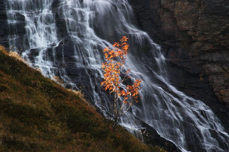 PICT3460_r.jpg - Wasserfall im Hollersbachtal