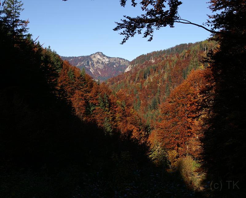 PICT82075_081012_Weitlahnerkopf_Herbst_c.jpg - Herbst im Chiemgau