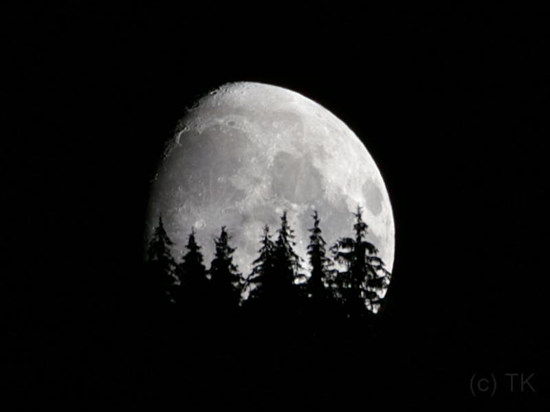 PICT74513_070922_MondWildschoenau_c.jpg - Mondaufgang in der Wildschönau