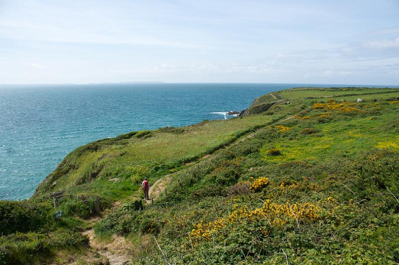 170521_1138_T08628_PembrokeshireCoastPath_hd.jpg - Wales, Pembrokeshire Coast Path, Etappe um St Davids