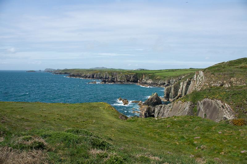 170521_1147_T08633_PembrokeshireCoastPath_hd.jpg - Wales, Pembrokeshire Coast Path, Etappe um St Davids