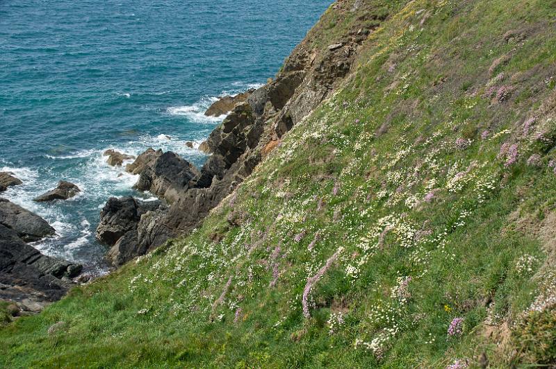 170521_1149_T08637_PembrokeshireCoastPath_hd.jpg - Wales, Pembrokeshire Coast Path, Etappe um St Davids