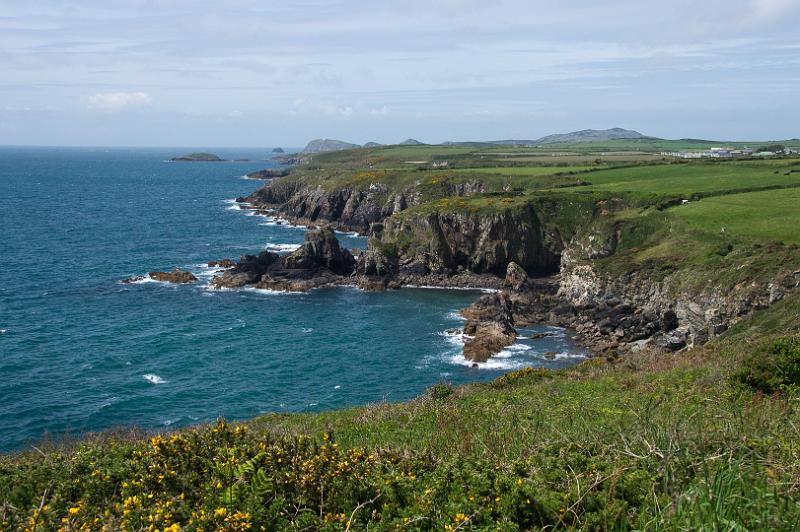 170521_1150_A01964_PembrokeshireCoastPath_hd.jpg - Wales, Pembrokeshire Coast Path, Etappe um St Davids