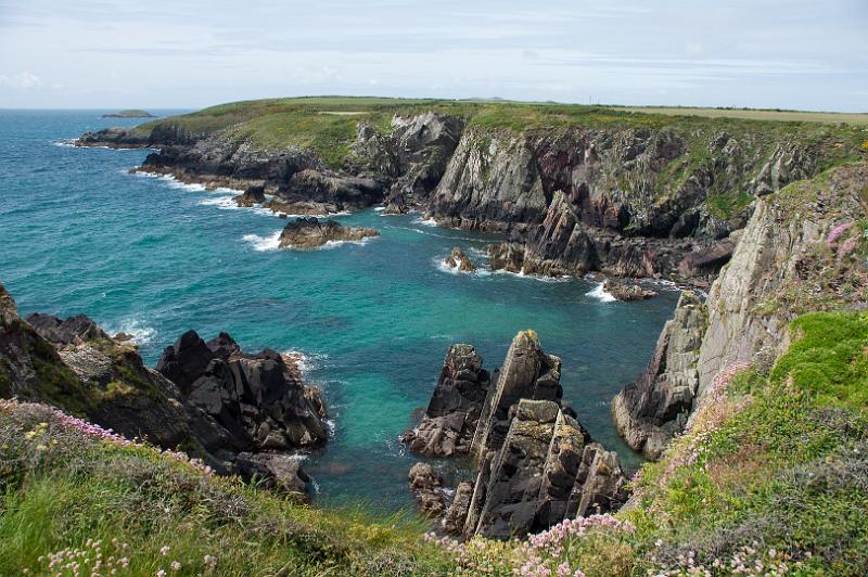 170521_1205_T08641_PembrokeshireCoastPath_hd.jpg - Wales, Pembrokeshire Coast Path, Etappe um St Davids