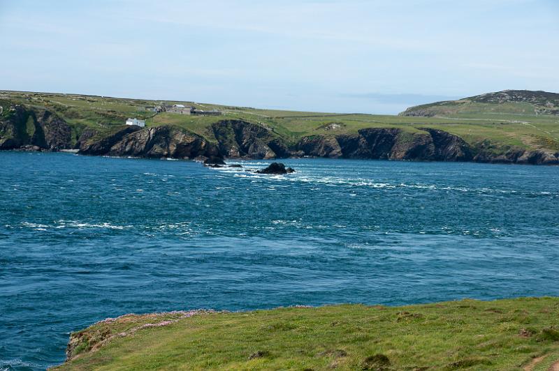 170521_1324_T08645_PembrokeshireCoastPath_hd.jpg - Wales, Pembrokeshire Coast Path, Etappe um St Davids