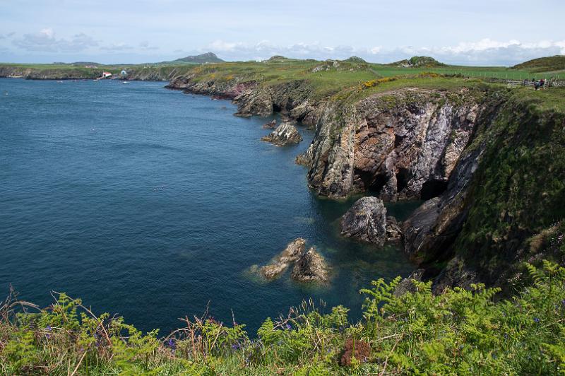 170521_1344_A01970_PembrokeshireCoastPath_hd.jpg - Wales, Pembrokeshire Coast Path, Etappe um St Davids