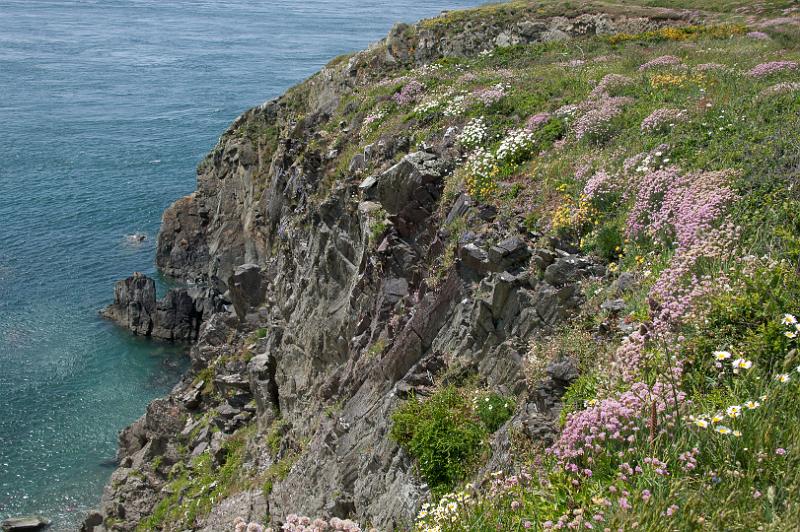 170521_1415_A01973_PembrokeshireCoastPath_hd.jpg - Wales, Pembrokeshire Coast Path, Etappe um St Davids