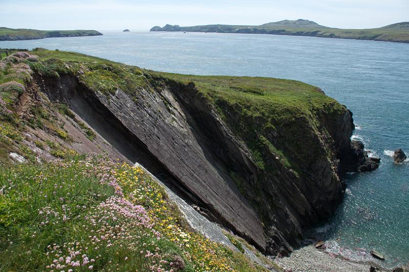 170521_1416_T08660_PembrokeshireCoastPath_hd.jpg - Wales, Pembrokeshire Coast Path, Etappe um St Davids