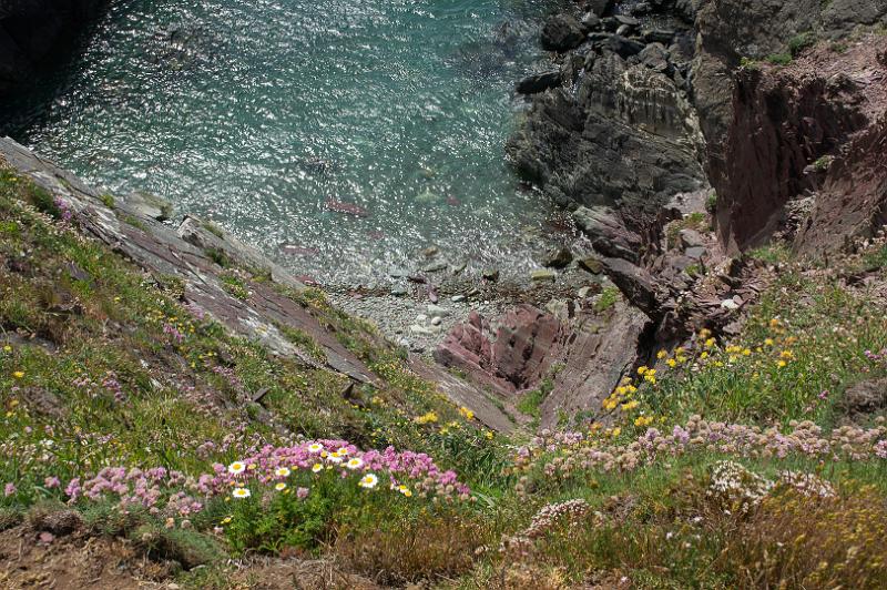 170521_1417_T08661_PembrokeshireCoastPath_hd.jpg - Wales, Pembrokeshire Coast Path, Etappe um St Davids