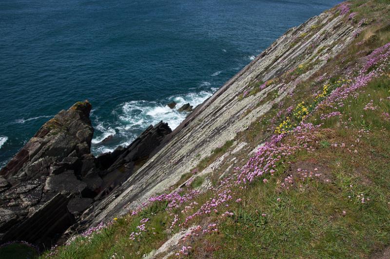 170521_1422_A01974_PembrokeshireCoastPath_hd.jpg - Wales, Pembrokeshire Coast Path, Etappe um St Davids