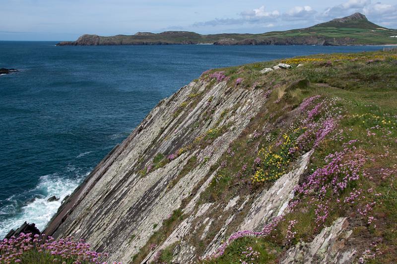 170521_1423_A01976_PembrokeshireCoastPath_hd.jpg - Wales, Pembrokeshire Coast Path, Etappe um St Davids