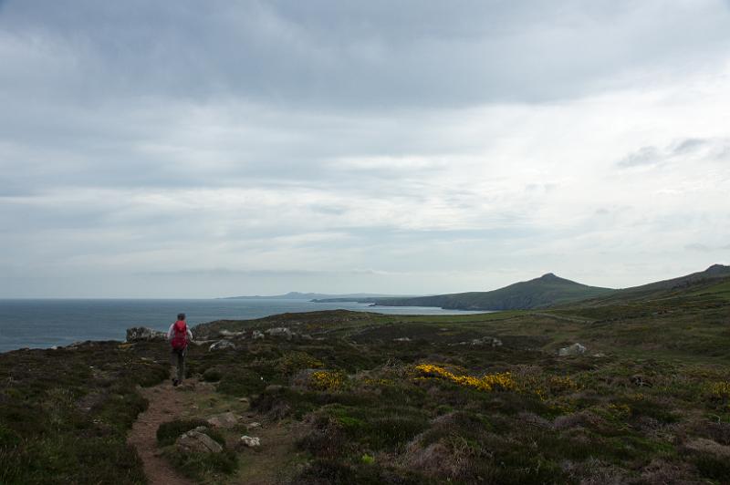 170522_0953_T08668_PembrokeshireCoastPath_hd.jpg - Wales, Pembrokeshire Coast Path, Etappe St Davids Head - Trefin