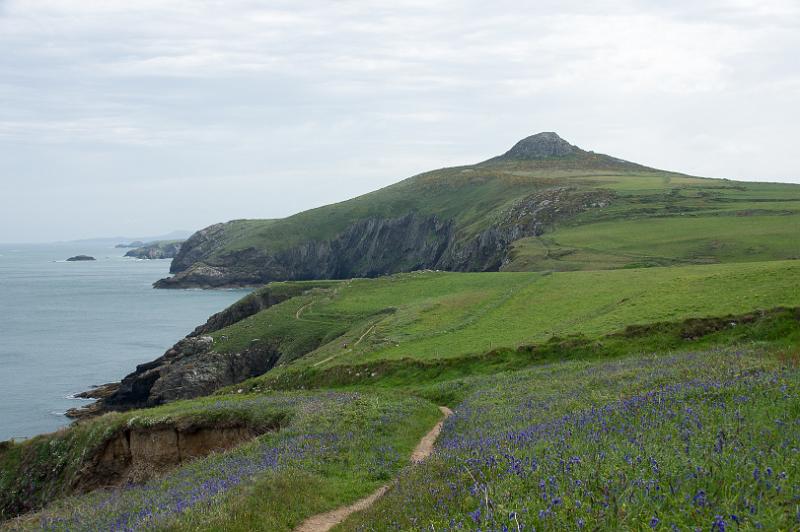 170522_1035_T08671_PembrokeshireCoastPath_hd.jpg - Wales, Pembrokeshire Coast Path, Etappe St Davids Head - Trefin