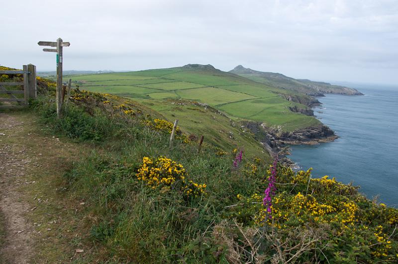 170522_1055_A01979_PembrokeshireCoastPath_hd.jpg - Wales, Pembrokeshire Coast Path, Etappe St Davids Head - Trefin