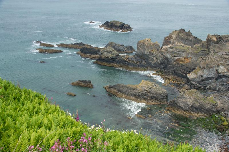 170522_1131_T08677_PembrokeshireCoastPath_hd.jpg - Wales, Pembrokeshire Coast Path, Etappe St Davids Head - Trefin