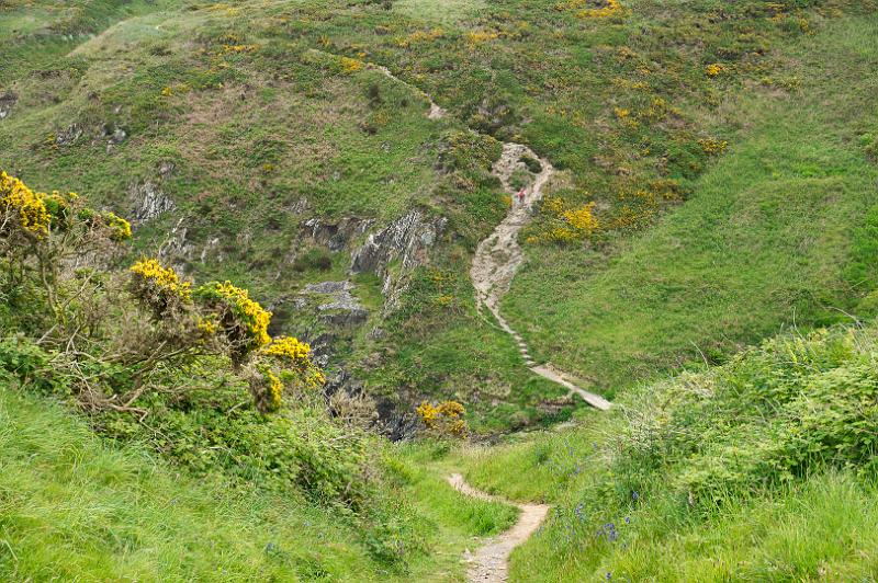 170522_1151_T08680_PembrokeshireCoastPath_hd.jpg - Wales, Pembrokeshire Coast Path, Etappe St Davids Head - Trefin