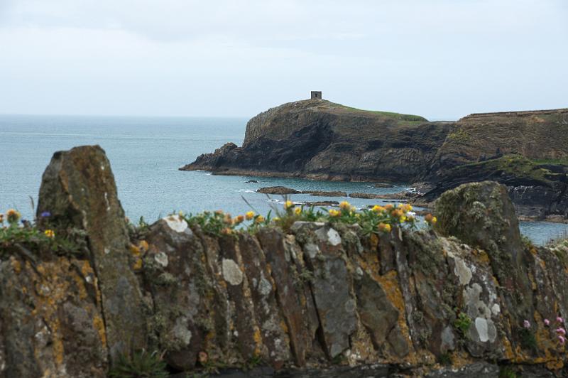 170522_1227_T08684_PembrokeshireCoastPath_hd.jpg - Wales, Pembrokeshire Coast Path, Etappe St Davids Head - Trefin