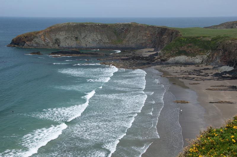 170522_1255_A01983_PembrokeshireCoastPath_hd.jpg - Wales, Pembrokeshire Coast Path, Etappe St Davids Head - Trefin