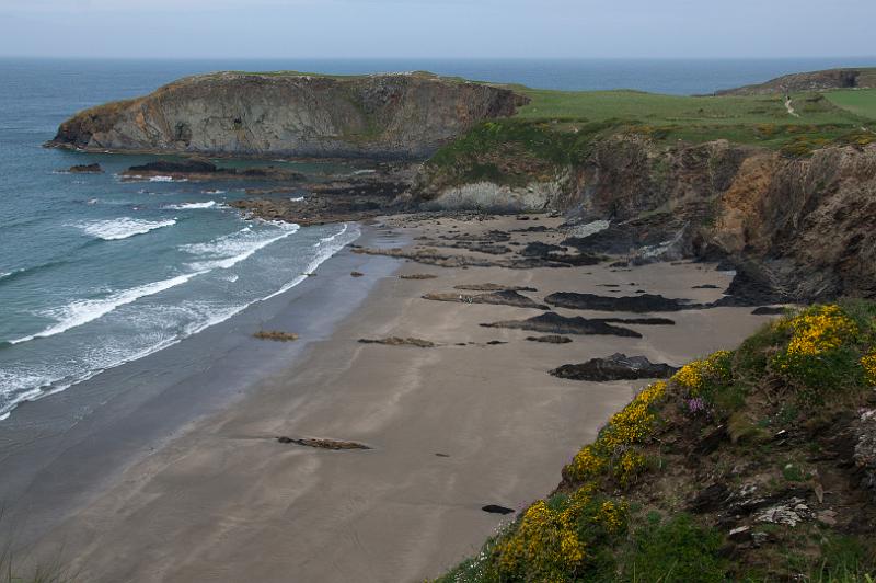 170522_1257_A01986_PembrokeshireCoastPath_hd.jpg - Wales, Pembrokeshire Coast Path, Etappe St Davids Head - Trefin