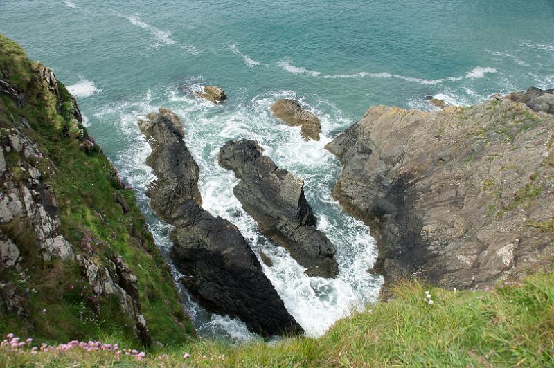 170522_1313_T08690_PembrokeshireCoastPath_hd.jpg - Wales, Pembrokeshire Coast Path, Etappe St Davids Head - Trefin