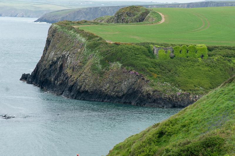 170522_1513_T08702_PembrokeshireCoastPath_hd.jpg - Wales, Pembrokeshire Coast Path, Runde um Trefin