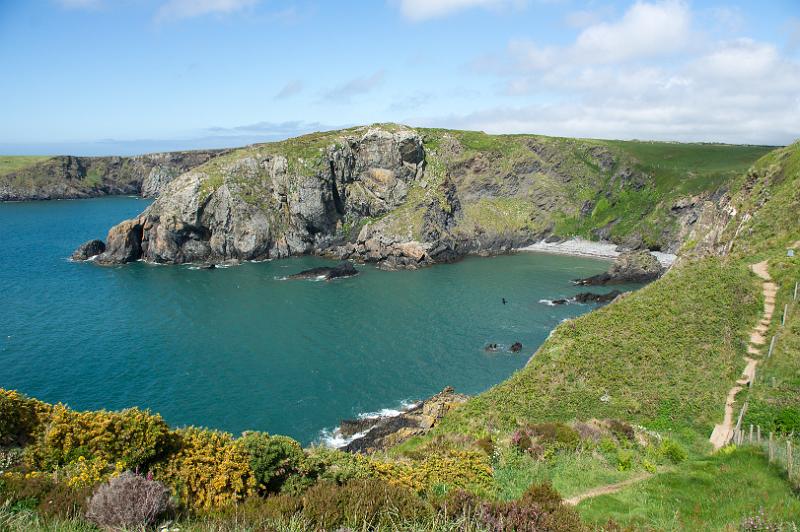 170522_1547_T08709_PembrokeshireCoastPath_hd.jpg - Wales, Pembrokeshire Coast Path, Runde um Trefin