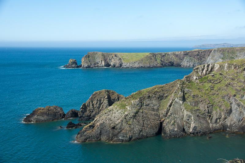 170522_1559_T08712_PembrokeshireCoastPath_hd.jpg - Wales, Pembrokeshire Coast Path, Runde um Trefin