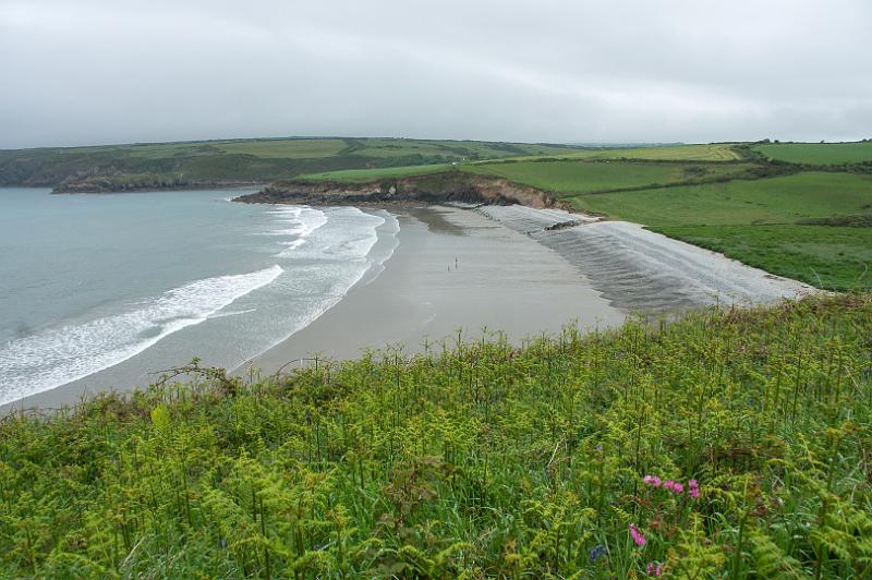 170523_1056_T08728_PembrokeshireCoastPath_hd.jpg - Wales, Pembrokeshire Coast Path, Etappe Trefin - Goodwick