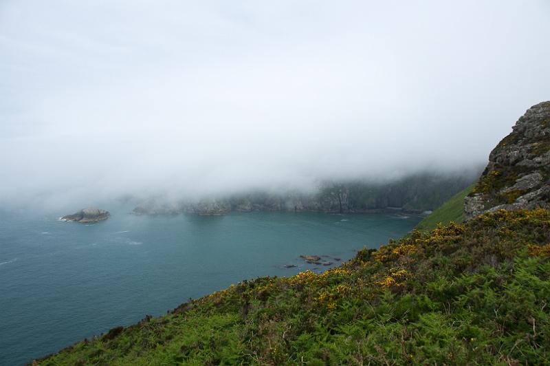 170523_1225_T08741_PembrokeshireCoastPath_hd.jpg - Wales, Pembrokeshire Coast Path, Etappe Trefin - Goodwick