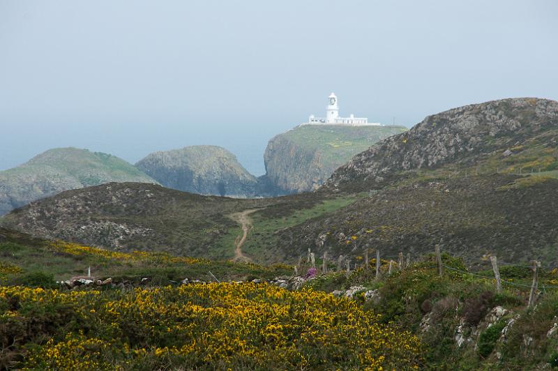 170523_1339_T08762_PembrokeshireCoastPath_hd.jpg - Wales, Pembrokeshire Coast Path, Etappe Trefin - Goodwick