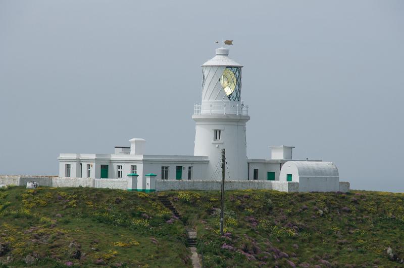 170523_1418_T08779_PembrokeshireCoastPath_hd.jpg - Wales, Pembrokeshire Coast Path, Etappe Trefin - Goodwick (Stumble Head)