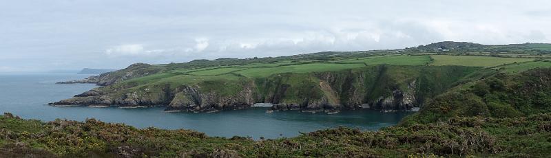 170523_1533_T09626_PembrokeshireCoastPath_hd.jpg - Wales, Pembrokeshire Coast Path, Etappe Trefin - Goodwick