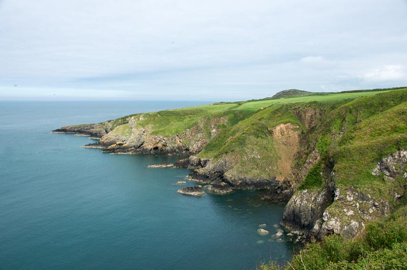 170523_1547_T08787_PembrokeshireCoastPath_hd.jpg - Wales, Pembrokeshire Coast Path, Etappe Trefin - Goodwick