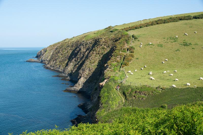 170525_0858_T08815_PembrokeshireCoastPath_hd.jpg - Wales, Pembrokeshire Coast Path, Etappe Newport - Poppit Sands