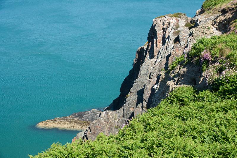 170525_1057_T08836_PembrokeshireCoastPath_hd.jpg - Wales, Pembrokeshire Coast Path, Etappe Newport - Poppit Sands