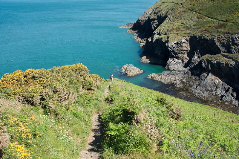 170525_1127_T08844_PembrokeshireCoastPath_hd.jpg - Wales, Pembrokeshire Coast Path, Etappe Newport - Poppit Sands