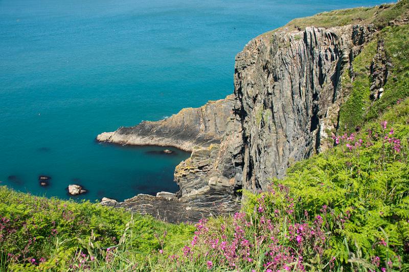 170525_1220_T08863_PembrokeshireCoastPath_hd.jpg - Wales, Pembrokeshire Coast Path, Etappe Newport - Poppit Sands