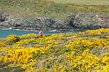 170521_1243_T08642_PembrokeshireCoastPath_hd