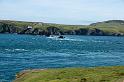 170521_1324_T08645_PembrokeshireCoastPath_hd