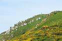 170524_1339_T08791_PembrokeshireCoastPath_hd