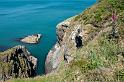 170525_1135_T08850_PembrokeshireCoastPath_hd