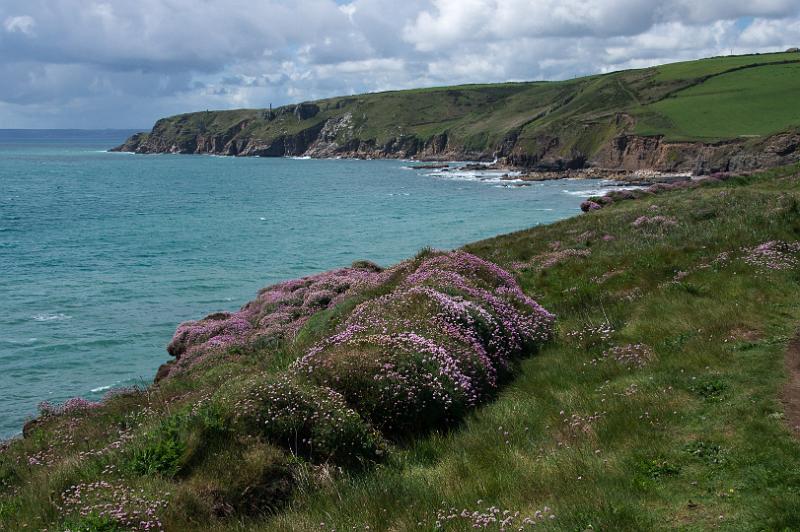 170518_1405_A01943_SouthWestCoastPath_hd.jpg - Cornwall, South West Coast Path, Etappe Marazion - Porthleven