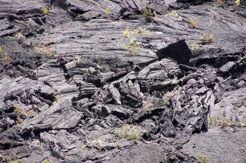 150617_1351_A00293_Kilauea.jpg - Chain of Craters Road