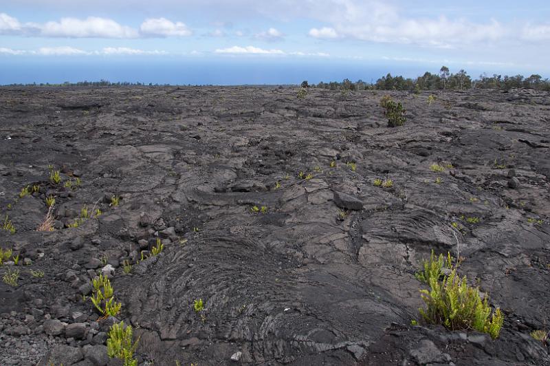 150617_1444_A00308_Kilauea.jpg - Chain of Craters Road