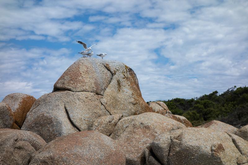 130110_1417_T00573_DeepCreek_AnsonsBay.jpg - Bay of Fires