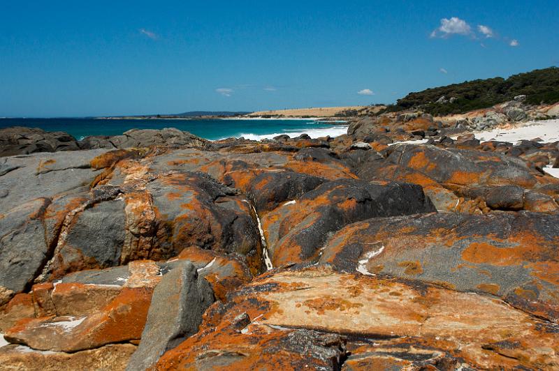 130111_1229_A07213_AnsonsBay_TheGardens_fhd.jpg - Bay of Fires