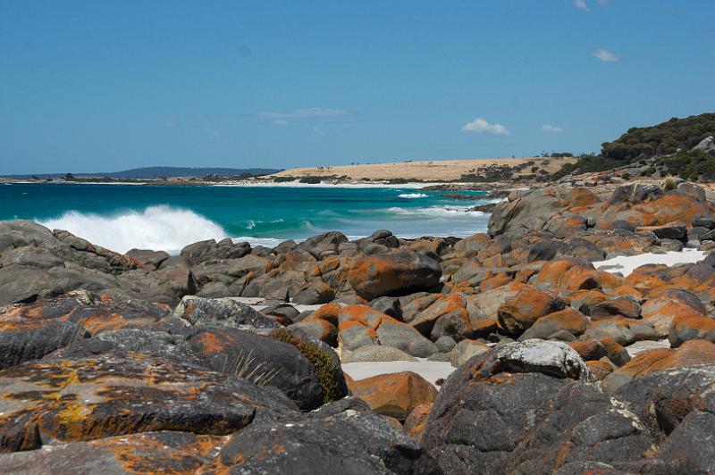 130111_1231_A07214_AnsonsBay_TheGardens.jpg - Bay of Fires