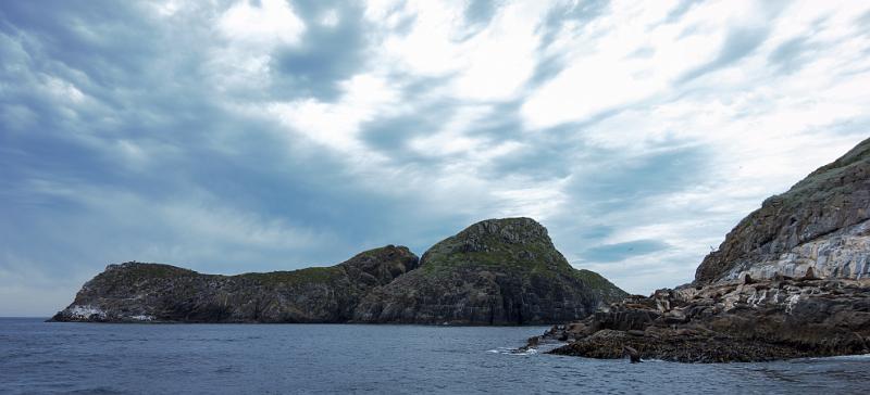 130104_1147_T00054_BrunyIsland.jpg - Bruny Island