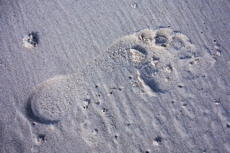 130114_1758_T00948_MtGraham.jpg - Footsteps in the Sand