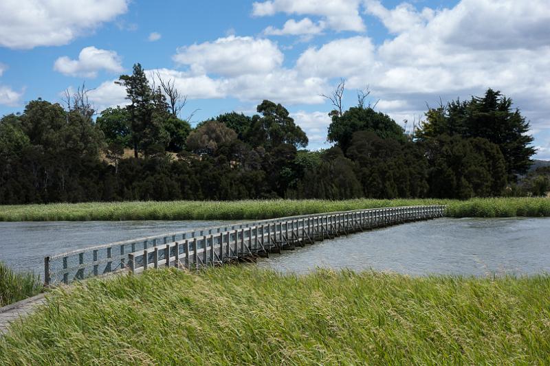 130112_1328_T00708_TamarWetlands.jpg - Tamar Wetlands